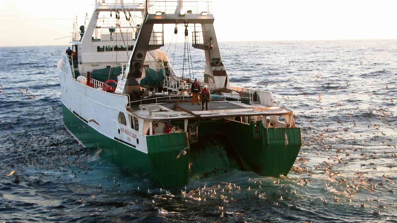 Barco pesqueiro (Foto: Cepesca).