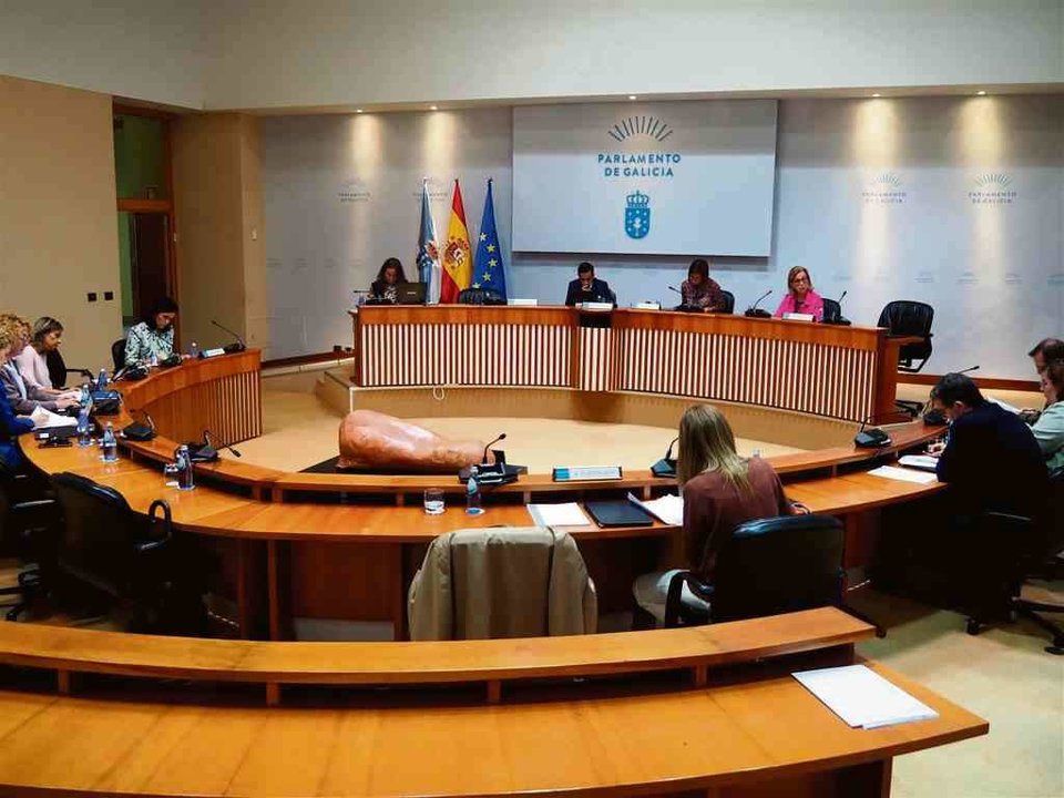 Reunión da comisión de Xustiza e Interior, decorrida esta quinta feira. (Foto: Parlamento da Galiza)