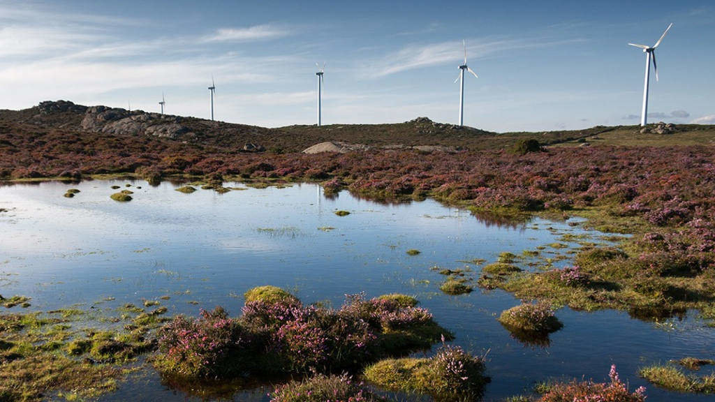 As turbeiras da serra do Forgoselo, na comarca de Ferrolterra, foron incluídas no Inventario de Zonas Húmidas da Galiza. (Foto: Xeoparque Cabo Ortegal)