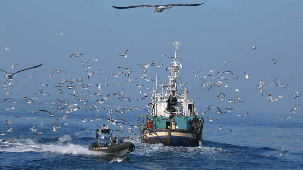 Un barco de pesca en augas saharauís (Foto: Ministerio de Agricultura, Pesca e Alimentación).