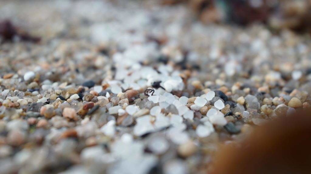Pellets de plástico na praia coruñesa de Sabón. (Foto: Gustavo de la Paz / Europa Press)
