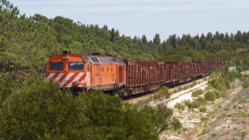 Eucalipto laminado, materia prima, chega en tren á unidade industrial de Altri en Figueira da Foz (Distrito de Coimbra, Portugal). (Foto: Altri).