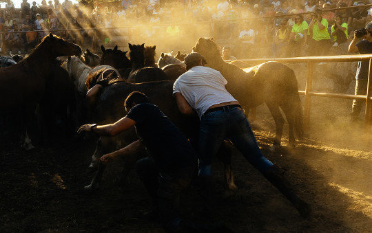 fotograma de 'Trote'