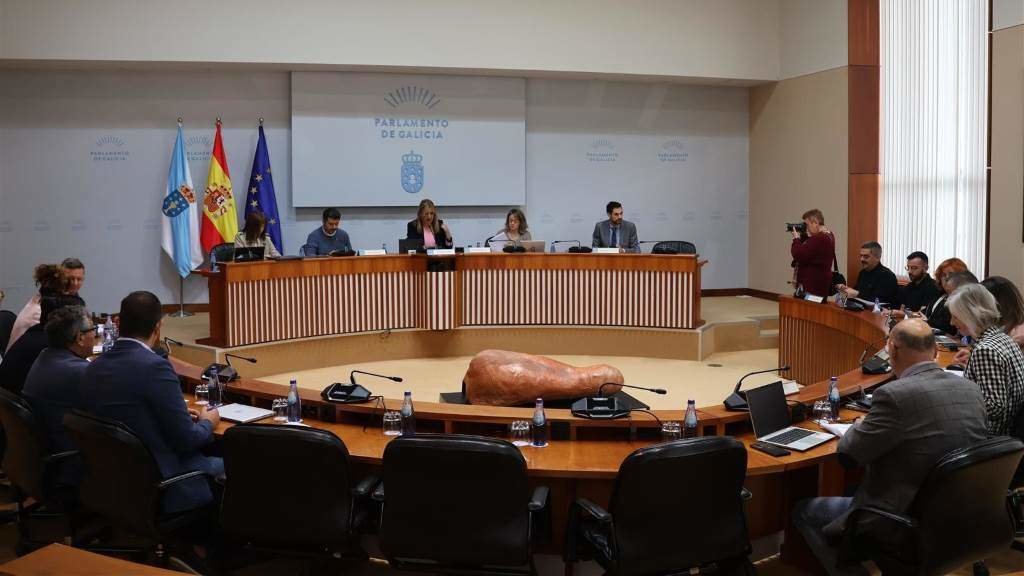 Comisión de Industria, esta quinta feira (Foto: Parlamento da Galiza).
