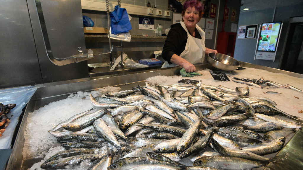 Sardiñas nunha peixaría da praza de Lugo na Coruña, nunha imaxe de arquivo. (Foto: M. Dylan / Europa Press)