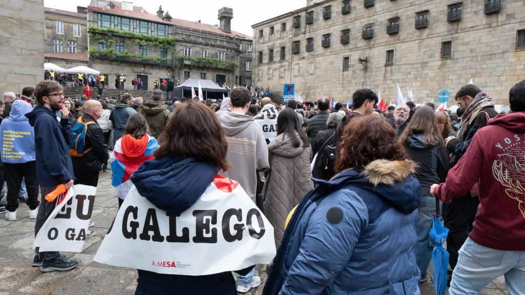 Manifestación por 'un galego vivo' o pasado 17 de maio en Compostela con motivo do Día Das Letras Galegas. (Foto: Arxina).