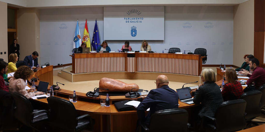 comisión de sanidade parlamento galego