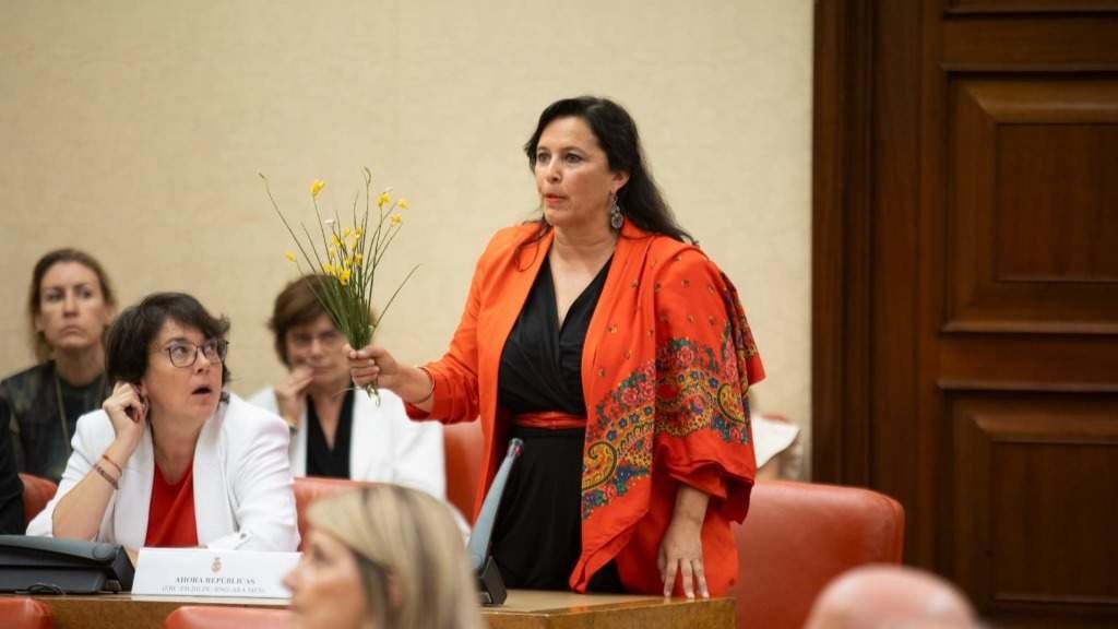 A eurodeputada do BNG, Ana Miranda, esta segunda feira. (Foto: Nós Diario)