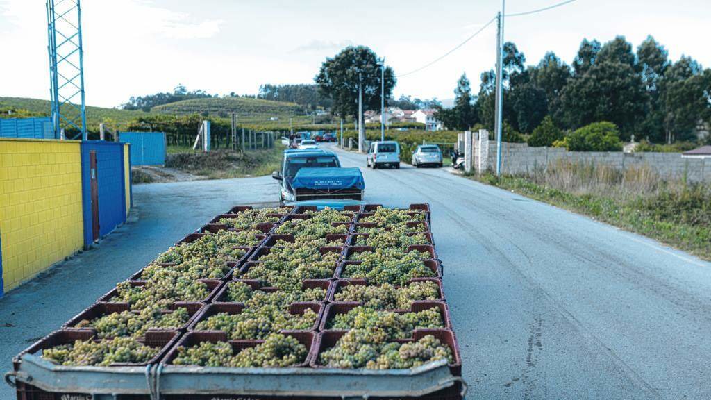 Os controis sobre a uva foránea centraranse nas estradas con Castela e Portugal. (Foto: Elena Fernández / Europa Press)
