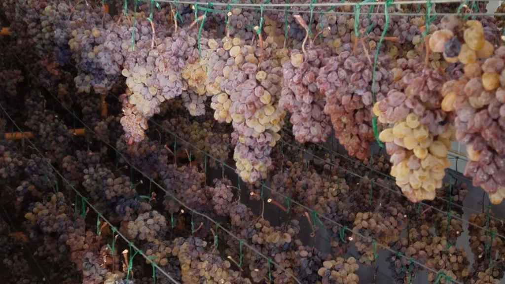 Secadoiro de uva na DO Valdeorras para a realización do viño tostado (Foto: DO Valdeorras).