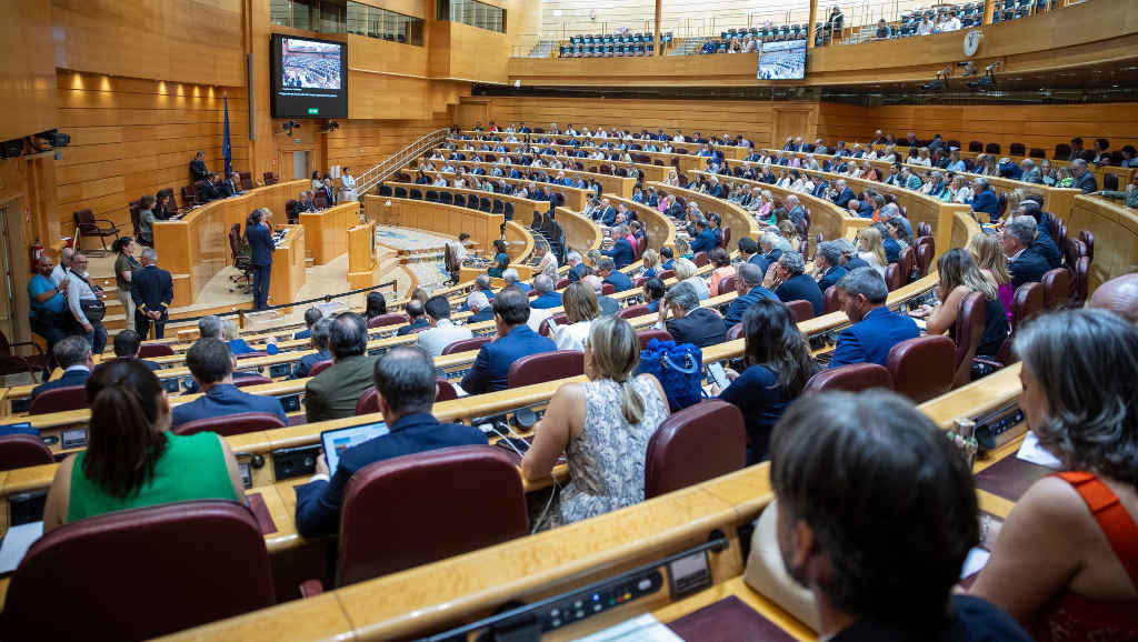 O Senado español ao aprobar onte a remuda no Poder Xudicial. (Foto: Senado español)