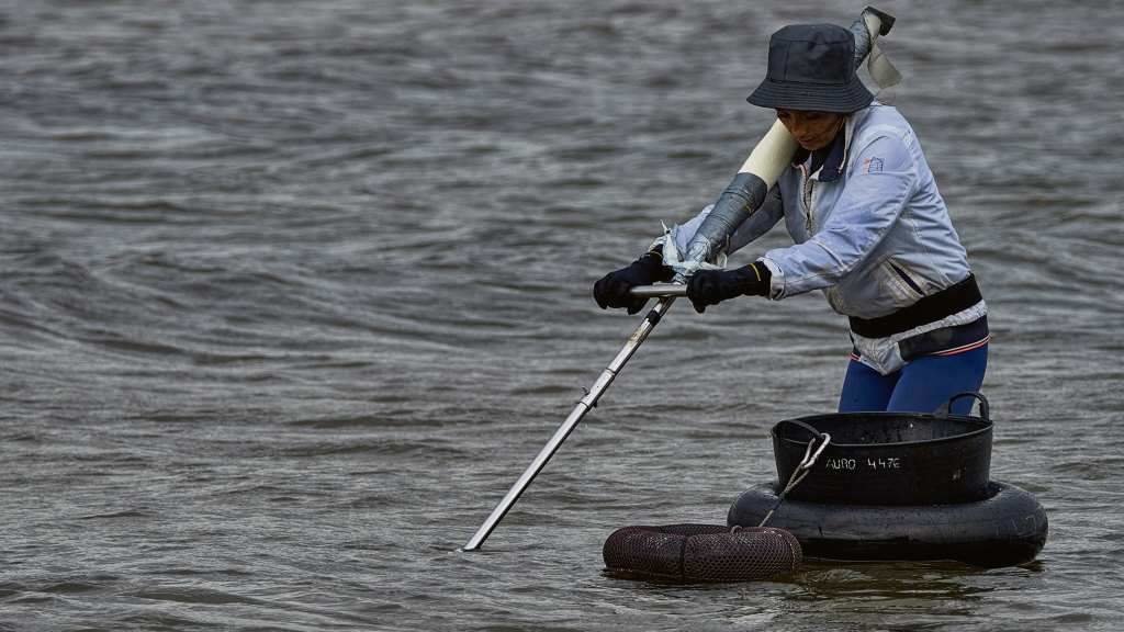 Unha mariscadora a pé da Confraría de Noia durante unha xornada de traballo. (Foto: Pedro G. Losada)