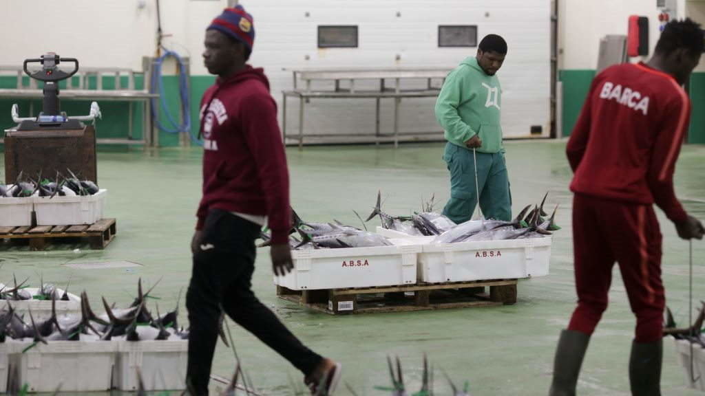 Traballadores do mar na lonxa de Burela (A Mariña). (Foto: Carlos Castro / Europa Press).