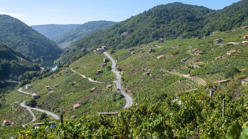 RIBEIRASACRA 04