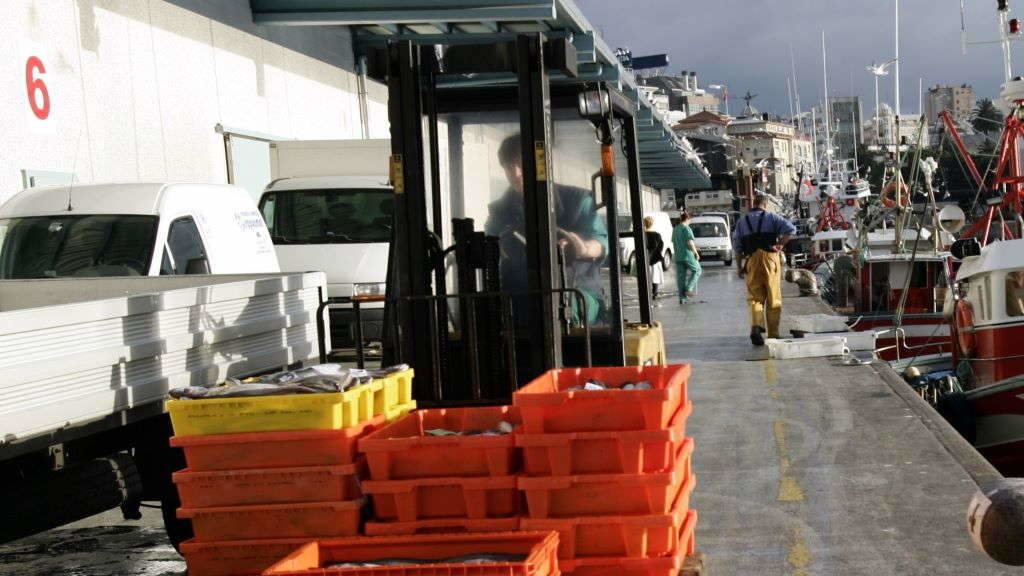 Lonxa da Coruña. (Foto: Europa Press).