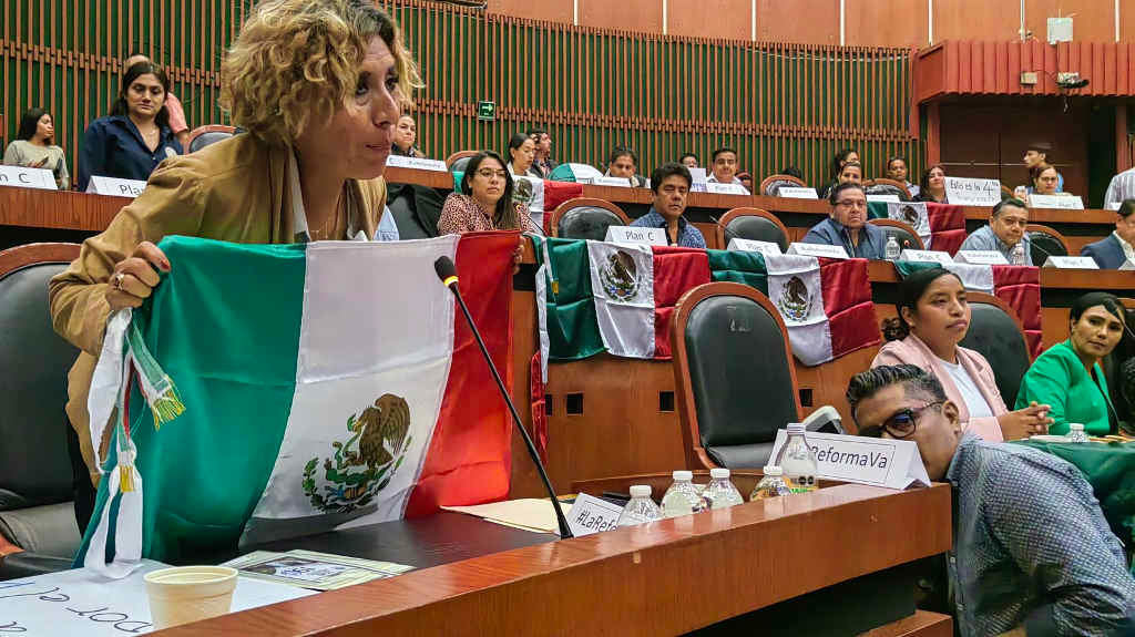 A deputada do Congreso de Guerrero Araceli Ocampo durante a votación na madrugada da quinta feira. (Foto: Araceli Ocampo)