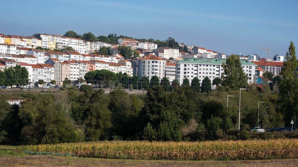 Detalle da simbiose rural-urbano en Compostela. (Foto: Arxina)