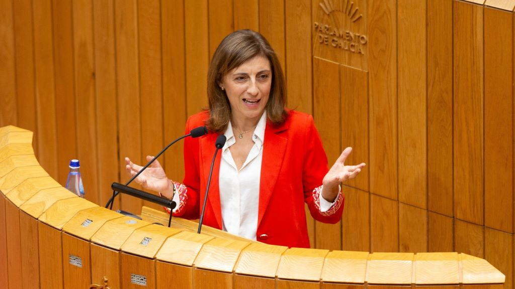 A conselleira de Medio Ambienta, Ángeles Vázquez, esta semana no Parlamento da Galiza. (Foto: Xunta da Galiza / Europa Press)